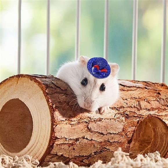 Small Pet Hat Costume 2 Pack - Picture 2 of 5